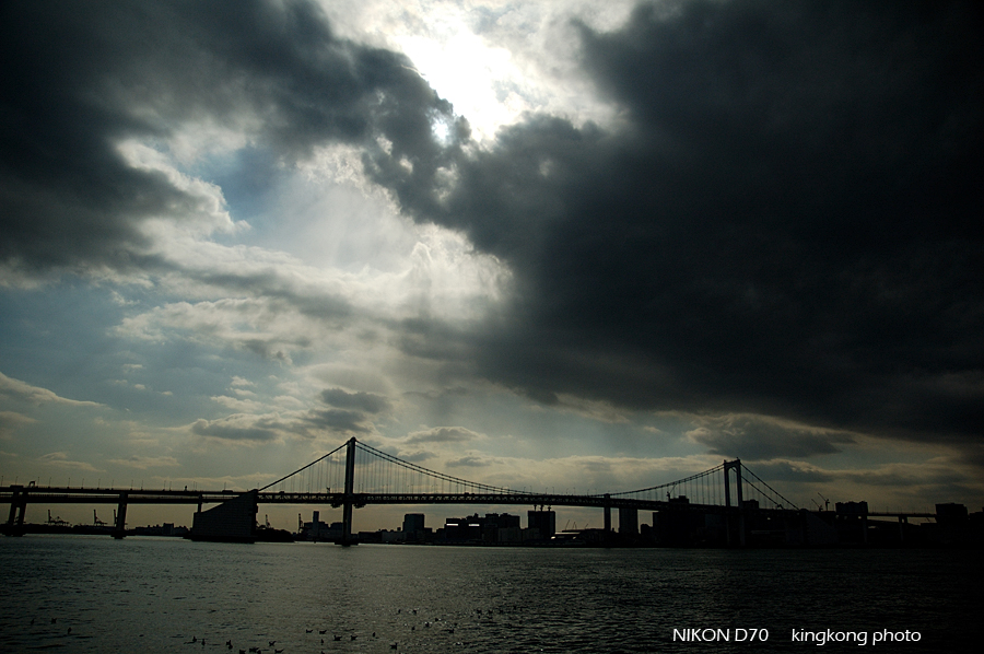 Odaiba line 06.jpg - 淺草  台場 - 觀光船